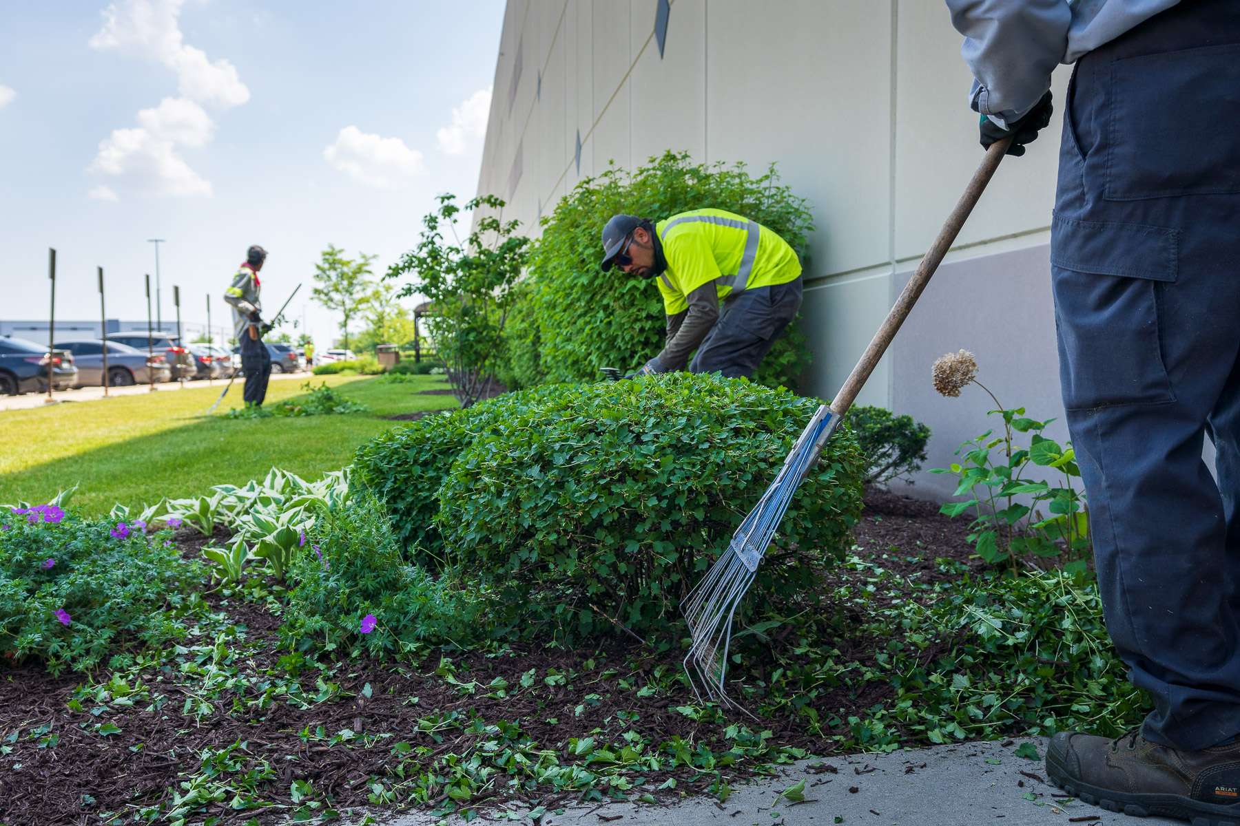 Commercial Landscape Maintenance In Greater Chicago Kd Landscape